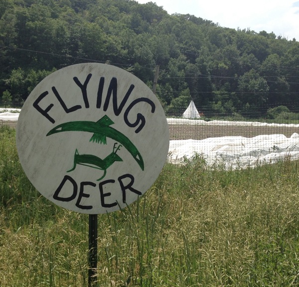 Flying Deer Sign, farm, and tipi