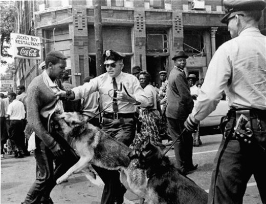 [Police+Dog+Civil+Rights.jpg]