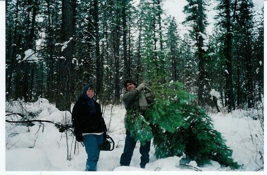 [Scott+Christmas+tree.JPG]