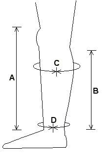 lower leg measurement