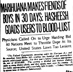 MARIHUANA MAKES FIENDS OF BOYS IN 30 DAYS: HASHEESH GOADS USERS TO BLOOD-LUST