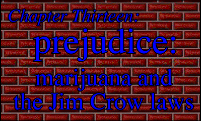 Chapter Thirteen:                                  PREJUDICE:                   MARIJUANA AND THE JIM CROW LAWS