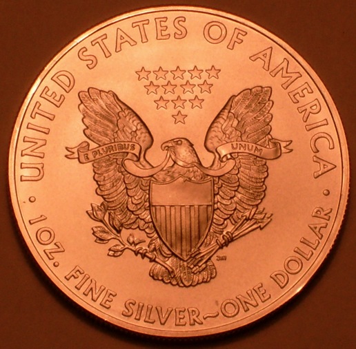 2008 Silver Eagle Reverse under incandescent light