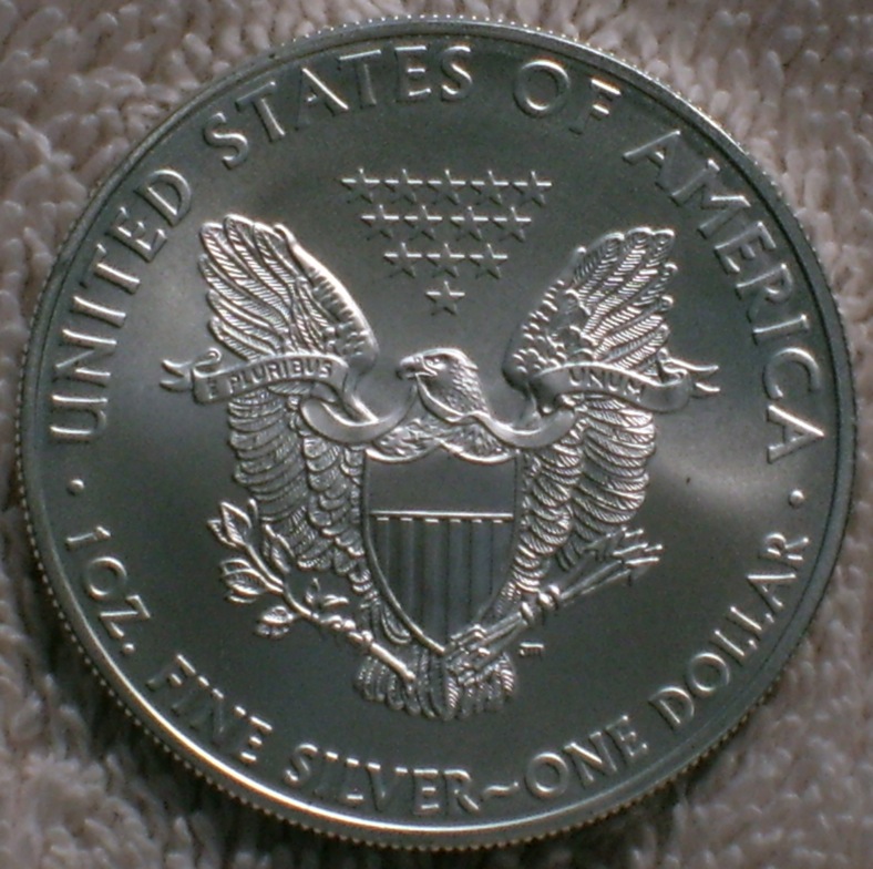 2008 Silver Eagle reverse, natural light