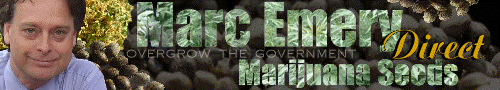 Marc Emery Direct Marijuana Seeds