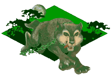 Running wolf with broken chain image (20k)