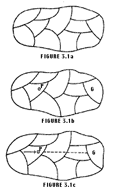 FIGURES 3.1a-c: Lewin's Life Space of Person P