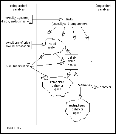 Figure 3.2: Tolman's Psychological Field Model