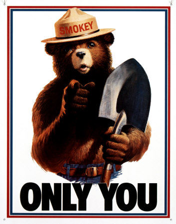 [d834smokey-bear-only-you-posters.jpg]